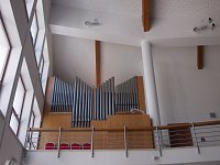 organ