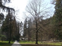 park