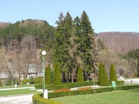 park