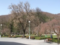 park