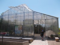 kaktusový skleník