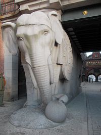 slon s guľou