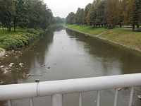 rieka Olše