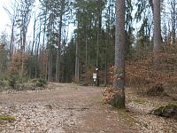 chodník lesom