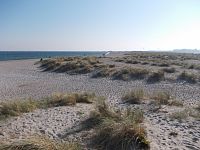 piesočné duny u pobrežia