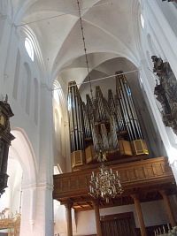 organ