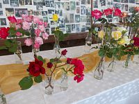 z pripravovanej výstavy ruží