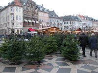 stromčeky a vianočné trhy