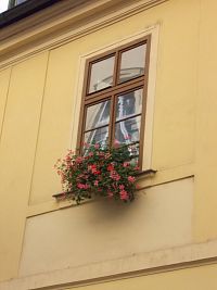 okno s kvetinovou výzdobou