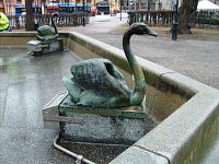 labute Molinovej fontány