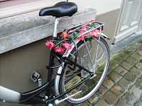 výzdoba nosiča bicykla