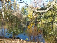 rybník na jeseň