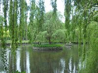 jarný rybník