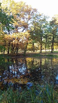 rybník v jeseni
