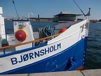 Bjornsholm