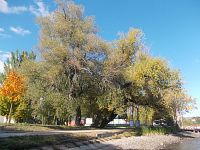 stromy u rybníka Barbora