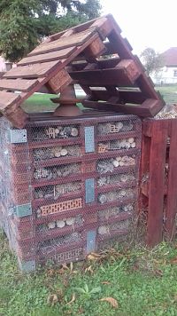 dom pre hmyz