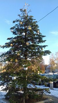vianočný stromček na námestí Jiřího z Poděbrad