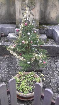 s vianočným stromčekom