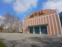 platan na Výstavišti