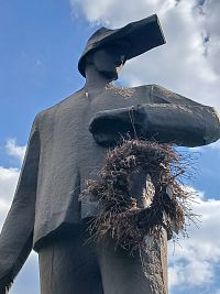 hutník s vyschnutým vencom