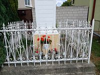 ohradný kovový plot