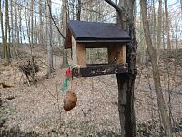 aj na vtáctvo sa myslelo