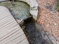 hrádza bazéna pre chôdzu