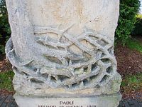 korene stromu v dolnej časti pamätníka