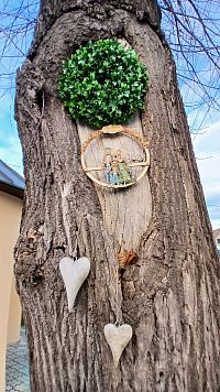 vyzdobený kmeň lipy