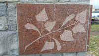 detail lipovej vetvičky