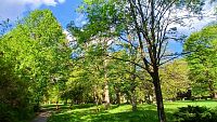 park