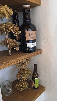 Senátor