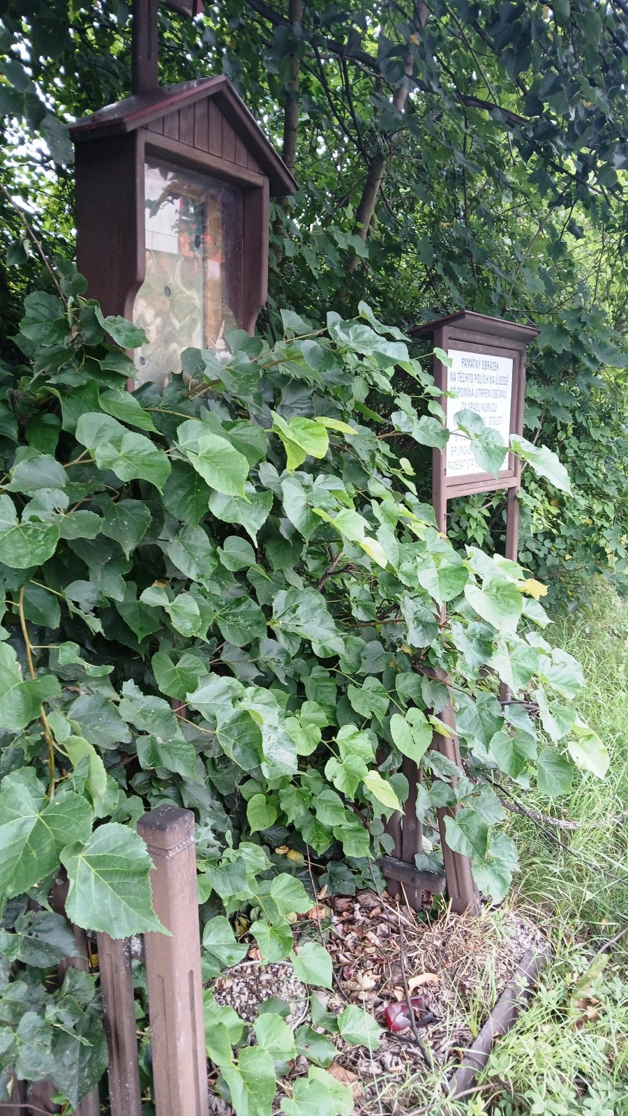 Brumov - Bylnice - Svatý obrázek