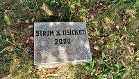 strom 3.tisícročia, posadený v roku 2000