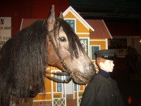 Muzeum Sparvägs - muzeum dopravy