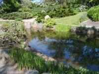 japonská záhrada