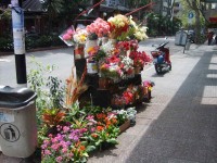 Predaj kvetín v uliciach