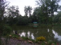Vodník u rybníku