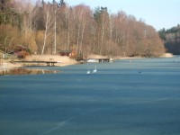 Labute na zamrznutom jazere