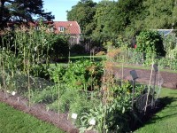 zeleninová záhrada