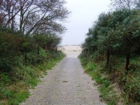 chodník k pláži