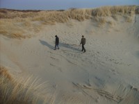 v dune