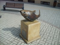bronzová rybka