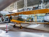 Tiger Moth