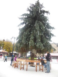 vianočný stromček na ľadovej ploche