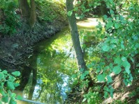 zelený potok
