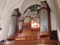 organ