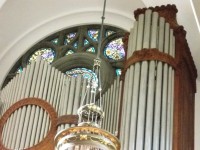 organ