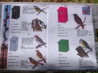 info o vtákoch